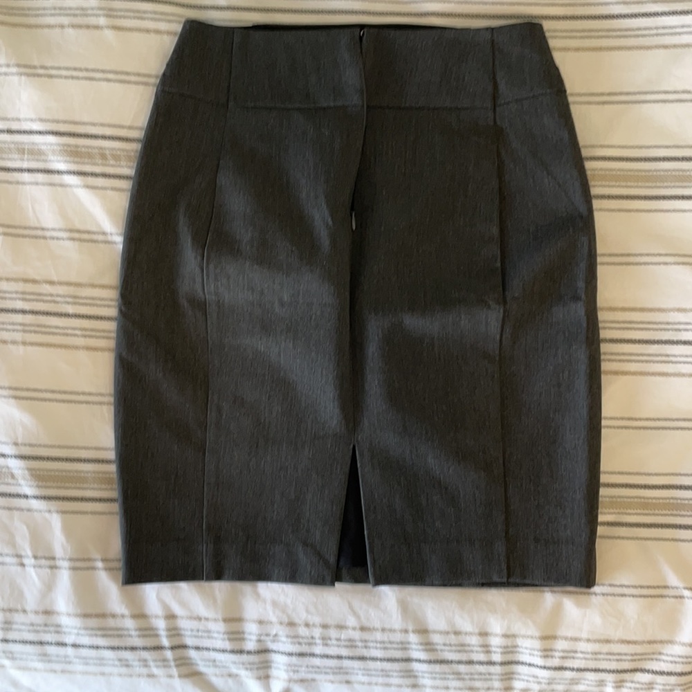 Express Skirt - Picture 2 of 3
